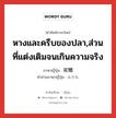 หางและครีบของปลา,ส่วนที่แต่งเติมจนเกินความจริง ภาษาญี่ปุ่นคืออะไร, คำศัพท์ภาษาไทย - ญี่ปุ่น หางและครีบของปลา,ส่วนที่แต่งเติมจนเกินความจริง ภาษาญี่ปุ่น 尾鰭 คำอ่านภาษาญี่ปุ่น おひれ หมวด n หมวด n