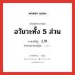 อวัยวะทั้ง 5 ส่วน ภาษาญี่ปุ่นคืออะไร, คำศัพท์ภาษาไทย - ญี่ปุ่น อวัยวะทั้ง 5 ส่วน ภาษาญี่ปุ่น 五体 คำอ่านภาษาญี่ปุ่น ごたい หมวด n หมวด n