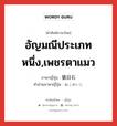 อัญมณีประเภทหนึ่ง,เพชรตาแมว ภาษาญี่ปุ่นคืออะไร, คำศัพท์ภาษาไทย - ญี่ปุ่น อัญมณีประเภทหนึ่ง,เพชรตาแมว ภาษาญี่ปุ่น 猫目石 คำอ่านภาษาญี่ปุ่น ねこめいし หมวด n หมวด n