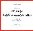 เท้า,ขา,อุ้งตีน(สัตว์),หนวด(ปลาหมึก) ภาษาญี่ปุ่นคืออะไร, คำศัพท์ภาษาไทย - ญี่ปุ่น เท้า,ขา,อุ้งตีน(สัตว์),หนวด(ปลาหมึก) ภาษาญี่ปุ่น 肢 คำอ่านภาษาญี่ปุ่น あし หมวด n หมวด n