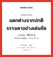 並外れる ภาษาไทย?, คำศัพท์ภาษาไทย - ญี่ปุ่น 並外れる ภาษาญี่ปุ่น แตกต่างจากปกติธรรมดาอย่างเด่นชัด คำอ่านภาษาญี่ปุ่น なみはずれる หมวด v1 หมวด v1