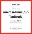 แผนกโรคผิวหนัง,วิชาโรคผิวหนัง ภาษาญี่ปุ่นคืออะไร, คำศัพท์ภาษาไทย - ญี่ปุ่น แผนกโรคผิวหนัง,วิชาโรคผิวหนัง ภาษาญี่ปุ่น 皮膚科 คำอ่านภาษาญี่ปุ่น ひふか หมวด n หมวด n