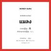 แมลง ภาษาญี่ปุ่นคืออะไร, คำศัพท์ภาษาไทย - ญี่ปุ่น แมลง ภาษาญี่ปุ่น 虫 คำอ่านภาษาญี่ปุ่น むし หมวด n หมวด n