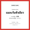 แมลงวันหัวเขียว ภาษาญี่ปุ่นคืออะไร, คำศัพท์ภาษาไทย - ญี่ปุ่น แมลงวันหัวเขียว ภาษาญี่ปุ่น 蒼蠅 คำอ่านภาษาญี่ปุ่น あおばえ หมวด n หมวด n