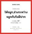 ใต้จมูก,ช่วงระหว่างจมูกกับริมฝีปาก ภาษาญี่ปุ่นคืออะไร, คำศัพท์ภาษาไทย - ญี่ปุ่น ใต้จมูก,ช่วงระหว่างจมูกกับริมฝีปาก ภาษาญี่ปุ่น 鼻下 คำอ่านภาษาญี่ปุ่น びか หมวด n หมวด n