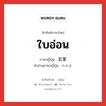 ใบอ่อน ภาษาญี่ปุ่นคืออะไร, คำศัพท์ภาษาไทย - ญี่ปุ่น ใบอ่อน ภาษาญี่ปุ่น 若葉 คำอ่านภาษาญี่ปุ่น わかば หมวด n หมวด n