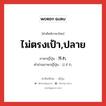 ไม่ตรงเป้า,ปลาย ภาษาญี่ปุ่นคืออะไร, คำศัพท์ภาษาไทย - ญี่ปุ่น ไม่ตรงเป้า,ปลาย ภาษาญี่ปุ่น 外れ คำอ่านภาษาญี่ปุ่น はずれ หมวด n หมวด n