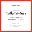 ไม่เชื่อ,ไม่ศรัทธา ภาษาญี่ปุ่นคืออะไร, คำศัพท์ภาษาไทย - ญี่ปุ่น ไม่เชื่อ,ไม่ศรัทธา ภาษาญี่ปุ่น 信仰がない คำอ่านภาษาญี่ปุ่น しんこうがない หมวด n หมวด n