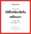 ไม้ที่ไม่ได้ทาสีหรือเคลือบเงา ภาษาญี่ปุ่นคืออะไร, คำศัพท์ภาษาไทย - ญี่ปุ่น ไม้ที่ไม่ได้ทาสีหรือเคลือบเงา ภาษาญี่ปุ่น 白木 คำอ่านภาษาญี่ปุ่น しらき หมวด n หมวด n