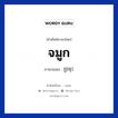 จมูก ภาษาเขมรคืออะไร, คำศัพท์ภาษาไทย - เขมร จมูก ภาษาเขมร ច្រមុះ หมวด อวัยวะ Chromos หมวด อวัยวะ