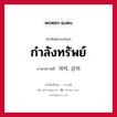 กำลังทรัพย์ ภาษาเกาหลีคืออะไร, คำศัพท์ภาษาไทย - เกาหลี กำลังทรัพย์ ภาษาเกาหลี 재력, 금력