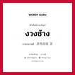 งวงช้าง ภาษาเกาหลีคืออะไร, คำศัพท์ภาษาไทย - เกาหลี งวงช้าง ภาษาเกาหลี 코끼리의 코