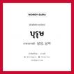 บุรุษ ภาษาเกาหลีคืออะไร, คำศัพท์ภาษาไทย - เกาหลี บุรุษ ภาษาเกาหลี 남성, 남자