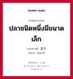 ปลาชนิดหนึ่งมีขนาดเล็ก ภาษาเกาหลีคืออะไร, คำศัพท์ภาษาไทย - เกาหลี ปลาชนิดหนึ่งมีขนาดเล็ก ภาษาเกาหลี 멀치 คำอ่าน [มอล-ชิ]