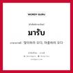 맞이하러 오다, 마중하러 오다 ภาษาไทย?, คำศัพท์ภาษาไทย - เกาหลี 맞이하러 오다, 마중하러 오다 ภาษาเกาหลี มารับ