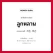 ลูกหลาน ภาษาเกาหลีคืออะไร, คำศัพท์ภาษาไทย - เกาหลี ลูกหลาน ภาษาเกาหลี 자손, 후손