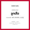 ลูกเสือ ภาษาเกาหลีคืออะไร, คำศัพท์ภาษาไทย - เกาหลี ลูกเสือ ภาษาเกาหลี 보이 쓰타우트, 소년단