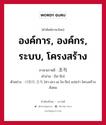 องค์การ, องค์กร, ระบบ, โครงสร้าง ภาษาเกาหลีคืออะไร, คำศัพท์ภาษาไทย - เกาหลี องค์การ, องค์กร, ระบบ, โครงสร้าง ภาษาเกาหลี 조직 คำอ่าน [โช-จิก] ตัวอย่าง 사회의 조직 [ซา-ฮเว-เอ โช-จิก] แปลว่า โครงสร้างสังคม