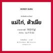 แม่ไก่, ตัวเมีย ภาษาเกาหลีคืออะไร, คำศัพท์ภาษาไทย - เกาหลี แม่ไก่, ตัวเมีย ภาษาเกาหลี 어린이날 คำอ่าน [ออ-รี-นี-นัล]