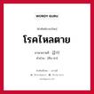 โรคไหลตาย ภาษาเกาหลีคืออะไร, คำศัพท์ภาษาไทย - เกาหลี โรคไหลตาย ภาษาเกาหลี 급사 คำอ่าน [คึบ-ซา]