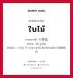 ใบไม้ ภาษาเกาหลีคืออะไร, คำศัพท์ภาษาไทย - เกาหลี ใบไม้ ภาษาเกาหลี 나뭇잎 คำอ่าน [นา-มู-ชิบ] ตัวอย่าง 나뭇잎 한 장 [นา-มู-ชิบ ฮัน ชัง] แปลว่า ใบไม้หนึ่งใบ