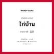 집닭 ภาษาไทย?, คำศัพท์ภาษาไทย - เกาหลี 집닭 ภาษาเกาหลี ไก่บ้าน