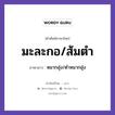 มะละกอ/ส้มตำ ภาษาลาวคืออะไร, คำศัพท์ภาษาไทย - ลาว มะละกอ/ส้มตำ ภาษาลาว หมากฮุ่ง/ตำหมากฮุ่ง หมวด อาหาร หมวด อาหาร