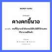 สำนวนไทย: คางคกขึ้นวอ หมายถึง?, สํานวนไทย คางคกขึ้นวอ หมายถึง คนที่มีฐานะต่ำต้อยพอได้ดิบได้ดีก็มักแสดงกิริยาอวดดีลืมตัว คำนาม คน อวัยวะ ตัว