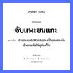 จับแพะชนแกะ ความหมายคืออะไร ใช้ยังไง, สํานวนสุภาษิต จับแพะชนแกะ หมายถึง ทำอย่างขอไปทีไม่ได้อย่างนี้ก็เอาอย่างนั้นเข้าแทนเพื่อให้ลุล่วงก็ไป คำกริยา จับ, ชน