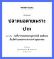 ปลาหมอตายเพราะปาก ความหมายคือ?, คำพังเพย ปลาหมอตายเพราะปาก หมายถึง คนที่ปากพล่อยชอบพูดจาไม่ดี จนตัวเองต้องได้รับผลผลกระทบจากคำพูดของตน อาชีพ หมอ อวัยวะ ปาก, ตัว คำกริยา ตาย คำนาม คน, หมอ สัตว์ ปลา