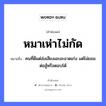 หมาเห่าไม่กัด ความหมายคือ?, คำพังเพย หมาเห่าไม่กัด หมายถึง คนที่ดีแต่ส่งเสียงเอะอะอวดเก่ง แต่ไม่ยอมต่อสู้หรือตอบโต้ คำนาม คน สัตว์ หมา คำกริยา สู้ หมวด สัตว์