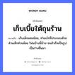 เก็บเบี้ยใต้ถุนร้าน ความหมายคืออะไร ใช้ยังไง, สํานวนสุภาษิต เก็บเบี้ยใต้ถุนร้าน หมายถึง เก็บเล็กผสมน้อย, ทําอะไรที่ประกอบด้วยส่วนเล็กส่วนน้อย โน่นบ้างนี่บ้าง จนสําเร็จเป็นรูปเป็นร่างขึ้นมา