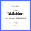 ไม้เบื่อไม้เมา ความหมายคือ?, คำพังเพย ไม้เบื่อไม้เมา หมายถึง ไม่ลงรอยกัน, ขัดแย้งกันเป็นประจำ ธรรมชาติ ไม้