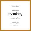 ขนาดใหญ่ ภาษาพม่าคืออะไร, คำศัพท์ภาษาไทย - พม่า ขนาดใหญ่ ภาษาพม่า အကြီးစား