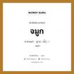 จมูก ภาษาพม่าคืออะไร, คำศัพท์ภาษาไทย - พม่า จมูก ภาษาพม่า နာေခါင္း หมวด หมวดอวัยวะของร่างกาย นเคา หมวด หมวดอวัยวะของร่างกาย