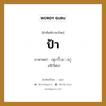 ป้า ภาษาพม่าคืออะไร, คำศัพท์ภาษาไทย - พม่า ป้า ภาษาพม่า ၾကီးေဒၚ หมวด หมวดญาติพี่น้องและตระกูล อจี(จีด่อ) หมวด หมวดญาติพี่น้องและตระกูล