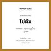 ไข่ต้ม ภาษาพม่าคืออะไร, คำศัพท์ภาษาไทย - พม่า ไข่ต้ม ภาษาพม่า ၾကက္ဥျပဳတ္ หมวด หมวดกับข้าวและอาหาร อู้ ปย่ก หมวด หมวดกับข้าวและอาหาร