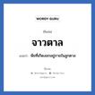 จาวตาล แปลว่า? วิเคราะห์ชื่อ จาวตาล, ชื่อเล่น จาวตาล แปลว่า พืชที่เกิดงอกอยู่ภายในลูกตาล