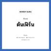 ต้นเฟิร์น แปลว่า? วิเคราะห์ชื่อ ต้นเฟิร์น, ชื่อเล่น ต้นเฟิร์น