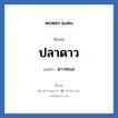 ปลาดาว แปลว่า? วิเคราะห์ชื่อ ปลาดาว, ชื่อเล่น ปลาดาว แปลว่า ดาวทะเล