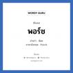 พอร์ช แปลว่า? วิเคราะห์ชื่อ พอร์ช, ชื่อเล่น พอร์ช อ่านว่า พ๊อด ภาษาอังกฤษ Porch