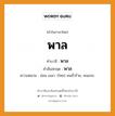 พาล บาลี สันสกฤต?, คำบาลีและสันสกฤต พาล คำในภาษาไทย พาล คำบาลี พาล คำสันสกฤต พาล ความหมาย อ่อน เขลา. (ไทย) คนชั่วร้าย, คนเกเร.