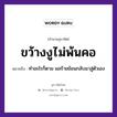 ขว้างงูไม่พ้นคอ ความหมายคือ?, คำพังเพย ขว้างงูไม่พ้นคอ หมายถึง ทำอะไรก็ตาม ผลร้ายย้อนกลับมาสู่ตัวเอง