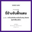 สำนวนไทย: ขี่ช้างจับตั๊กแตน หมายถึง?, สํานวนไทย ขี่ช้างจับตั๊กแตน หมายถึง ทำเรื่องเล็กให้กลายเป็นเรื่องใหญ่ ได้ผลไม่คุ้มกับที่ต้องเสียไป สัตว์ ช้าง คำกริยา จับ