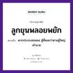 ลูกขุนพลอยพยัก ความหมายคืออะไร ใช้ยังไง, สํานวนสุภาษิต ลูกขุนพลอยพยัก หมายถึง พวกประจบสอพลอ ผู้ที่คอยว่าตามผู้ใหญ่ เจ้านาย