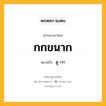 กกขนาก หมายถึงอะไร?, คำในภาษาไทย กกขนาก หมายถึง ดู กก