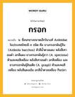 กรอก หมายถึงอะไร?, คำในภาษาไทย กรอก หมายถึง น. ชื่อนกยางขนาดเล็กในวงศ์ Ardeidae ในประเทศไทยมี ๓ ชนิด คือ ยางกรอกพันธุ์จีน (Ardeola bacchus) หัวสีนํ้าตาลแดง หลังสีเทาอมดำ อกสีแดง ยางกรอกพันธุ์ชวา (A. speciosa) หัวและคอสีเหลือง หลังสีเทาอมดำ อกสีเหลือง และยางกรอกพันธุ์อินเดีย (A. grayii) หัวและคอสีเหลือง หลังสีแดงเข้ม อกสีน้ำตาลเหลือง กินปลา.