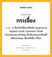 กระเจี้ยง หมายถึงอะไร?, คำในภาษาไทย กระเจี้ยง หมายถึง น. ชื่อกล้วยไม้อิงอาศัยชนิด Epigeneium amplum (Lindl.) Summerh. ในวงศ์ Orchidaceae ดอกใหญ่ ทั้งกลีบนอกและกลีบในสีเหลืองประแดง, เอื้องศรีเที่ยง ก็เรียก.