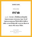 กราด หมายถึงอะไร?, คำในภาษาไทย กราด หมายถึง [กฺราด] น. ชื่อไม้ต้นขนาดใหญ่ชนิด Dipterocarpus intricatus Dyer ในวงศ์ Dipterocarpaceae ขึ้นในป่าเต็งรัง ต้นมียางเหนียว เจาะเอานํ้ามันยางได้, ยางกราด เหียงกราด ตะแบง หรือ สะแบง ก็เรียก.