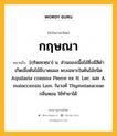 กฤษณา หมายถึงอะไร?, คำในภาษาไทย กฤษณา หมายถึง [กฺริดสะหฺนา] น. ส่วนของเนื้อไม้ซึ่งมีสีดํา เกิดเมื่อต้นไม้มีบาดแผล พบเฉพาะในต้นไม้ชนิด Aquilaria crassna Pierre ex H. Lec. และ A. malaccensis Lam. ในวงศ์ Thymelaeaceae กลิ่นหอม ใช้ทํายาได้.